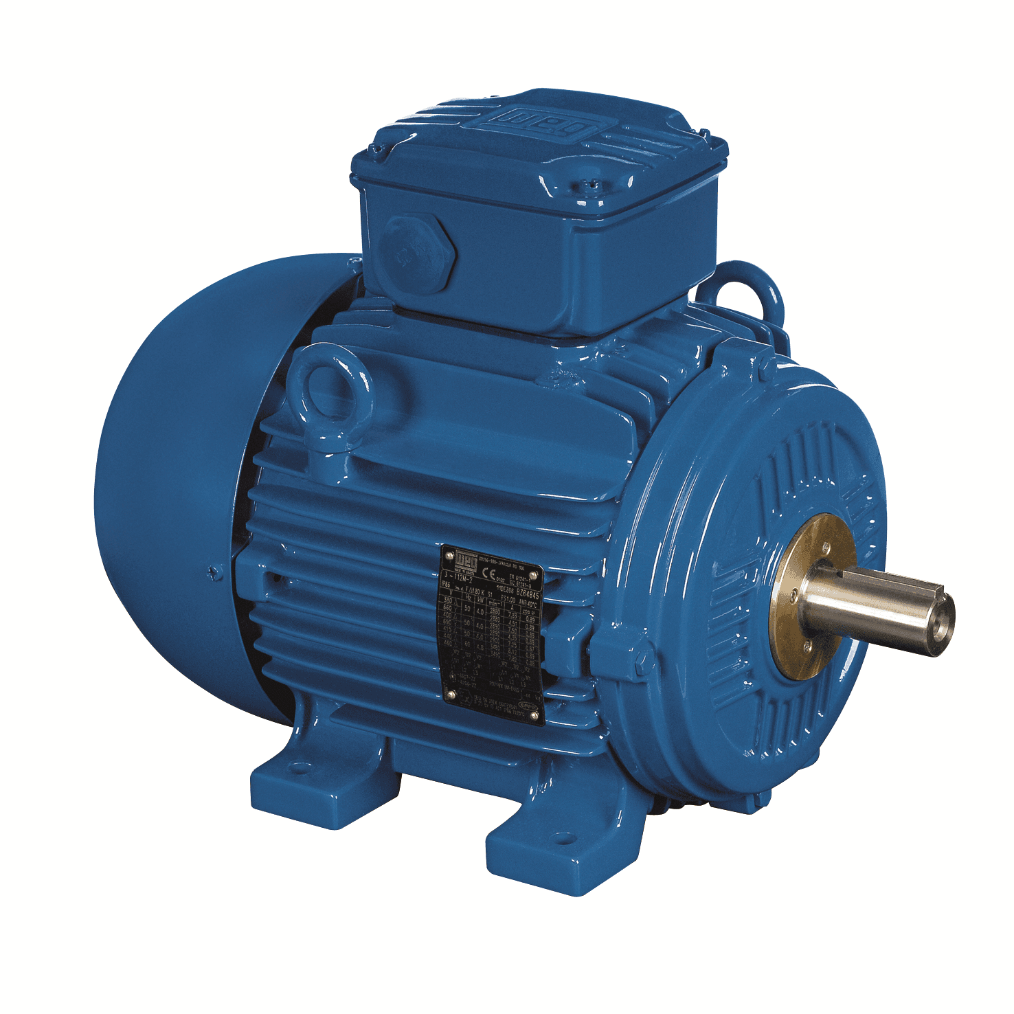 Silniki jednofazowe elektryczne